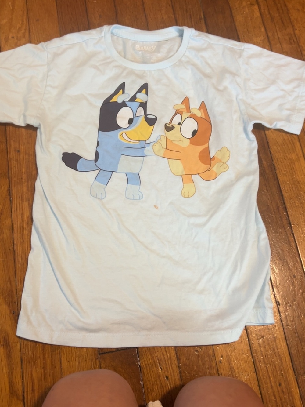Bluey Short Sleeve Kids Tee in Light Blue